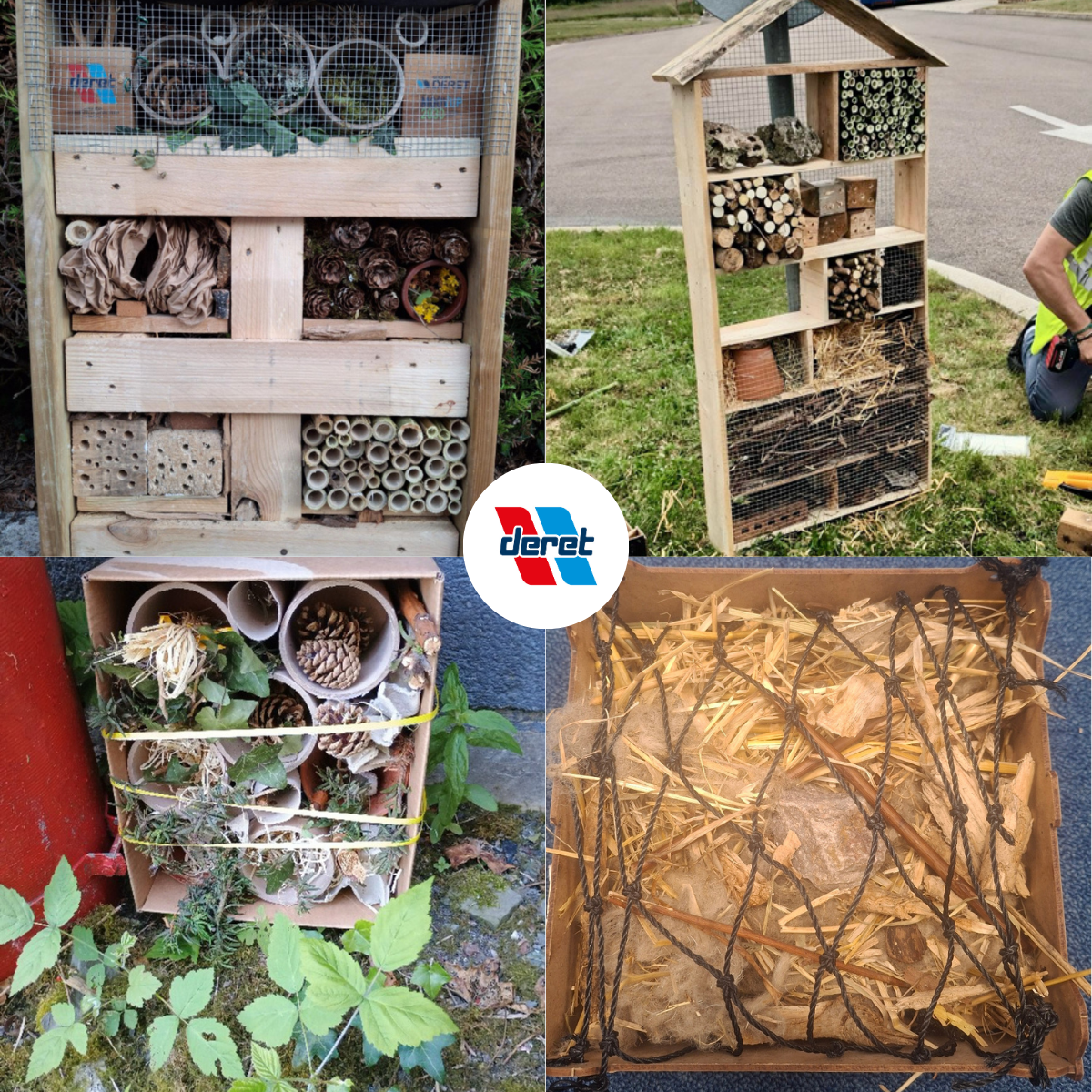 mobilisation-des-equipes-biodiversite